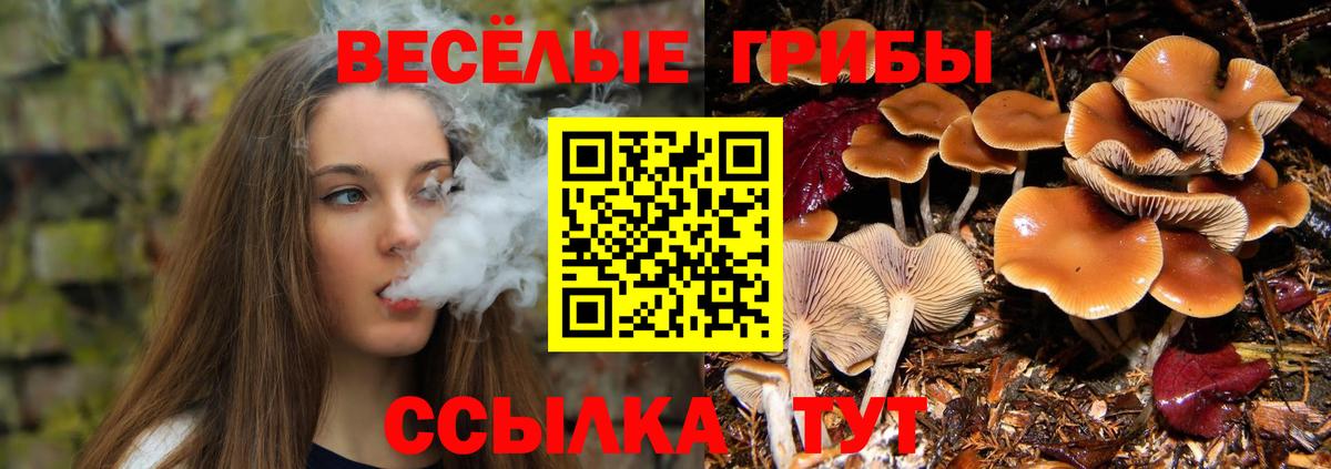 Галлюциногенные грибы прущие грибы Новозыбков