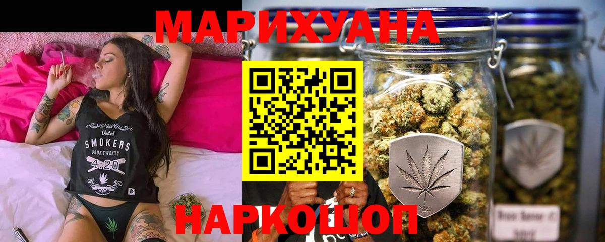 Бошки Шишки план Новозыбков